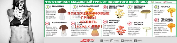 первитин Алексеевка