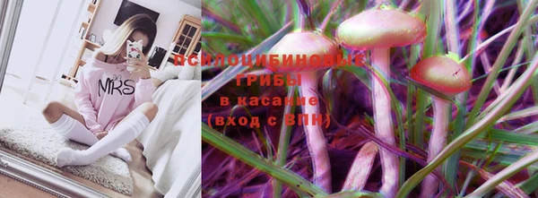первитин Алексеевка