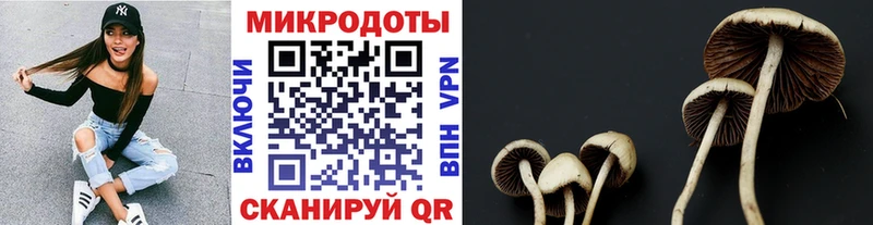 нарко площадка какой сайт  Спасск  Псилоцибиновые грибы MAGIC MUSHROOMS  как найти закладки 